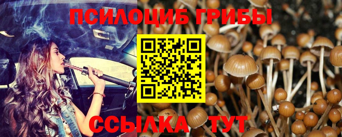 Псилоцибиновые грибы MAGIC MUSHROOMS  Вход с VPN  Щёкино 