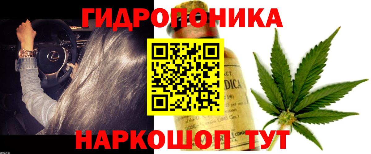 Конопля Amnesia Щёкино